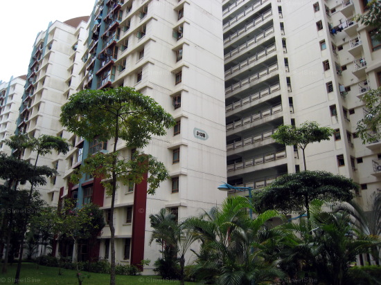 Blk 313B Anchorvale Road (Sengkang), HDB 5 Rooms #306442
